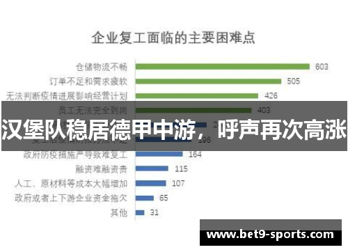 汉堡队稳居德甲中游，呼声再次高涨