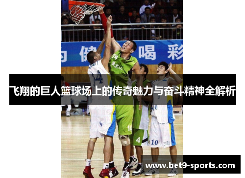 飞翔的巨人篮球场上的传奇魅力与奋斗精神全解析